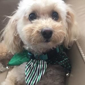 Meet your Posher, Jean